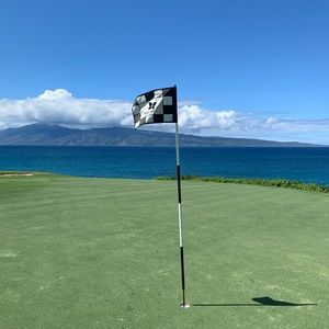 Meet your Posher, Noelle